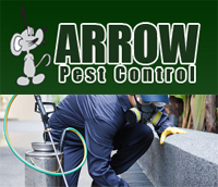 Arrow Pest Control