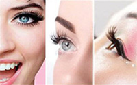 Chic Lashes