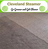 Cleveland Steamer