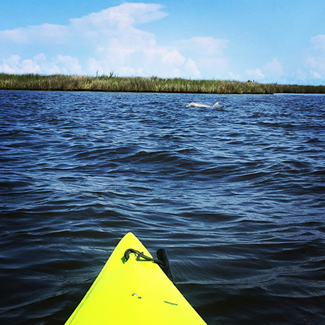 EnvirOBX Island Ecoadventures