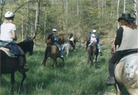 Greenridge Horse Ranch