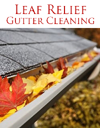 Leaf Relief Gutter Cleaning