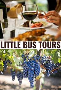  Little Bus Tours