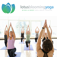 Lotus Blooming Yoga