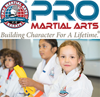 Pro Martial Arts