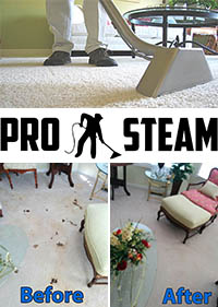 ProSteam Carpet Care