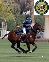 Stage Hill Polo