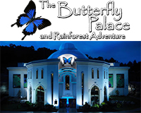 The Butterfly Palace