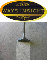 Ways Insight