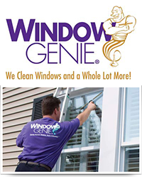 Window Genie